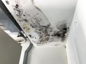 Malfaçons liées à l’étanchéité